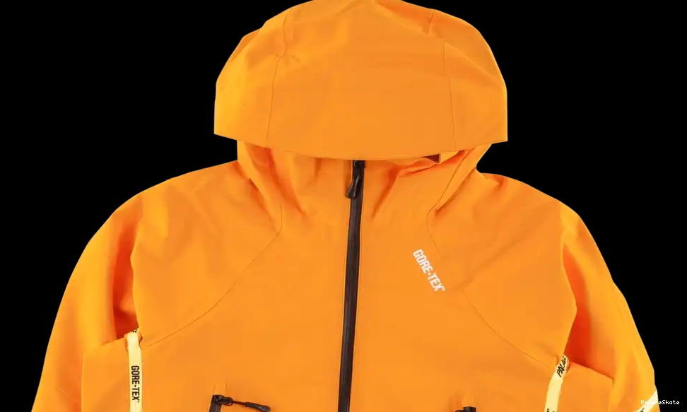 Affordable Palace Palex Jacket Gore-Tex 0701